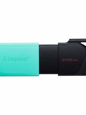Kingston memoria exodia menta con negro 256GB usb 32 DTXM
